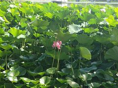 -哈尔滨师范大学(松北校区)