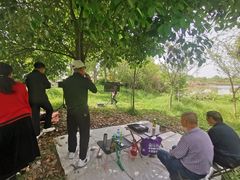 -桤木河湿地公园