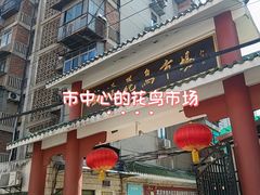 -武汉花鸟市场