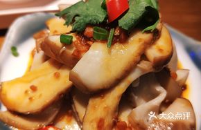 Kung Fu Training King Oyster Mushroom