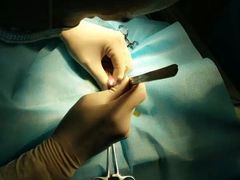 -仁华宠物医院(青羊店)