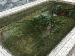 -联邦酒楼