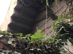 -星巴克(北京建威大厦店)