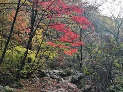 -本溪汤沟绿石谷森林公园