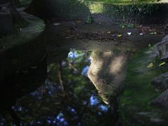 -望江楼公园