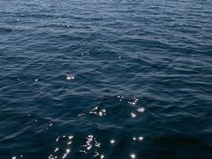 -碧海金沙
