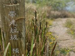 -云里小坐·海泉湾·团建·宴席·下午茶(金堂海泉湾店)