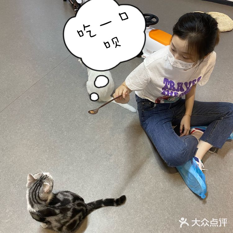 这是温州隐藏猫咖吗？！