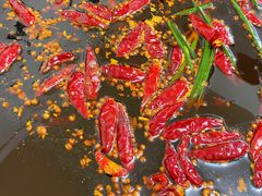 -重庆下半城老火锅(糖酒公司店)