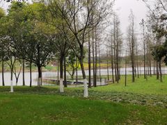 -贡湖湾湿地公园