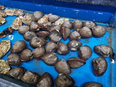 -神洲四海大酒楼(王府井澳门中心店)