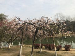 -白塘生态植物园