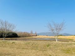 -良渚古城遗址公园
