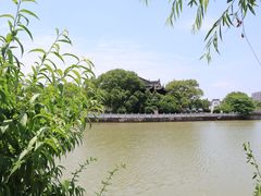 -八大山人梅湖景区