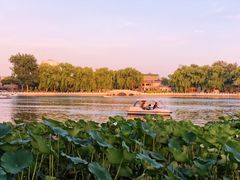 -后海公园