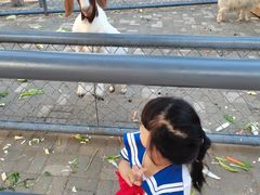 -长白岛森林公园