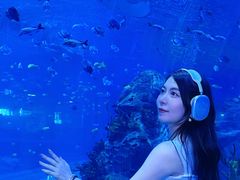 -石家庄极地海洋世界