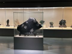 -安徽省地质博物馆