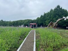 -同里国家湿地公园