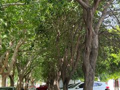 -兴隆文化园景区