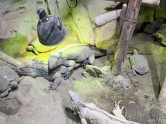 -萌宠奇缘(荣鼎店)