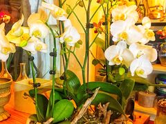 大堂-参差咖啡(水果湖公园店)