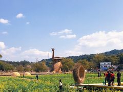 -红山村