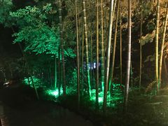 -天目湖御水温泉·度假酒店