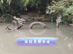 -汇龙潭