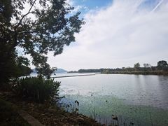 -东湖落雁景区