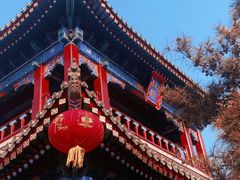 -天津大悲禅院
