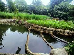 -成都市活水公园