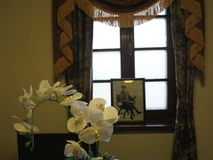 -静园(和平区)