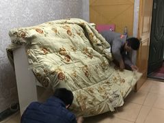 -骆驼日式搬家收纳整理