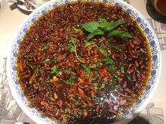 杨记招牌鱼-杨记隆府(时代天街店)