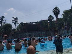 -重庆海昌加勒比海水世界