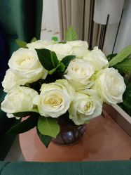 -新蝶变皮肤管理中心