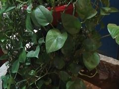 -煲得鲜·桐乡煲·小龙虾(万达店)