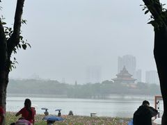 -顺峰山公园