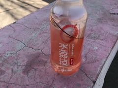 -成吉思汗公园