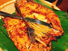 香茅草烤罗非鱼-云海肴·汽锅鸡·云南菜(天山百盛优客店)