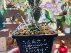 -Rabbit Cafe私房西餐甜点咖啡(栖霞路店)