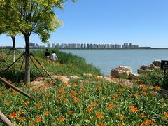 -天津东丽湖风景区