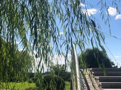 -莫子山公园