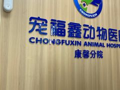 -宠福鑫康馨动物医院·骨科·眼科
