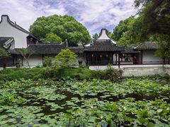 -上海醉白池公园