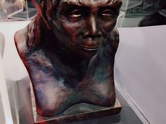-北京周口店北京人遗址博物馆