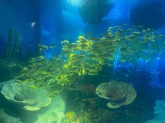 -上海海昌海洋公园