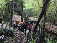 -严子陵钓台(富春江小三峡)