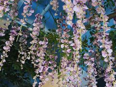 -食悦江南·淮扬菜·烤鸭(亚运村·惠新店)